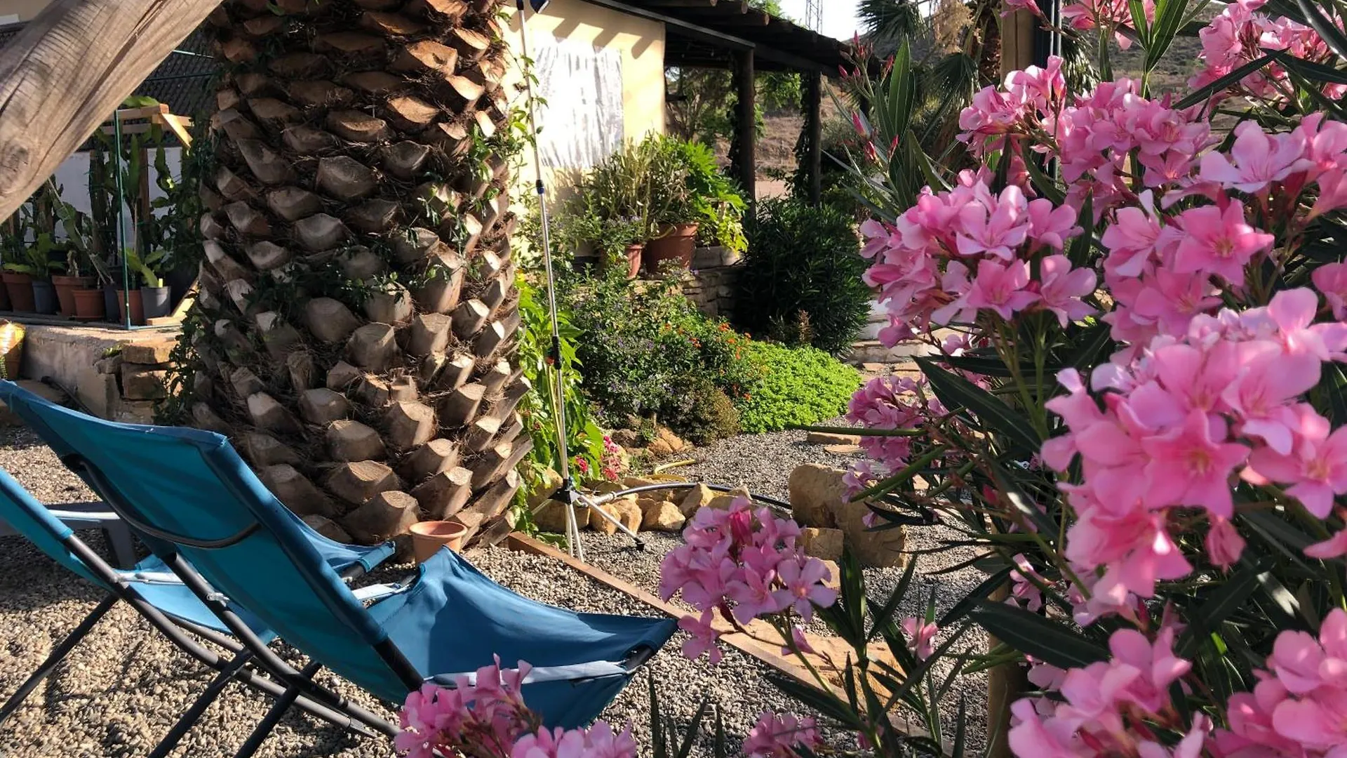Cortijo Dos Santos Hotel Valle de Abdalagis Luxury tent