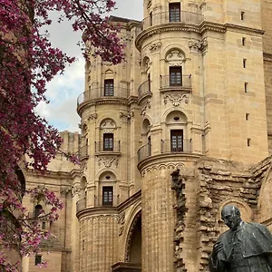 Premium - Cathedral Of Apartment Malaga
